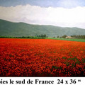 poppies le sud de france 24 x 36 s oil on canvas.jpg